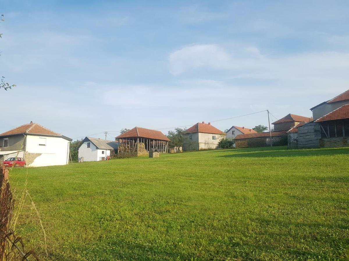 Green Apartments Kursumlija المظهر الخارجي الصورة