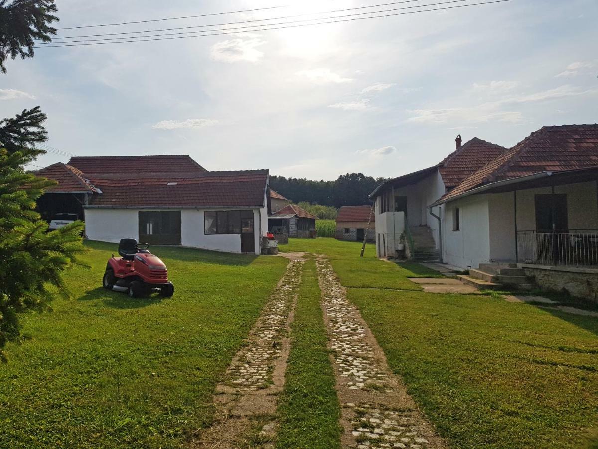 Green Apartments Kursumlija المظهر الخارجي الصورة