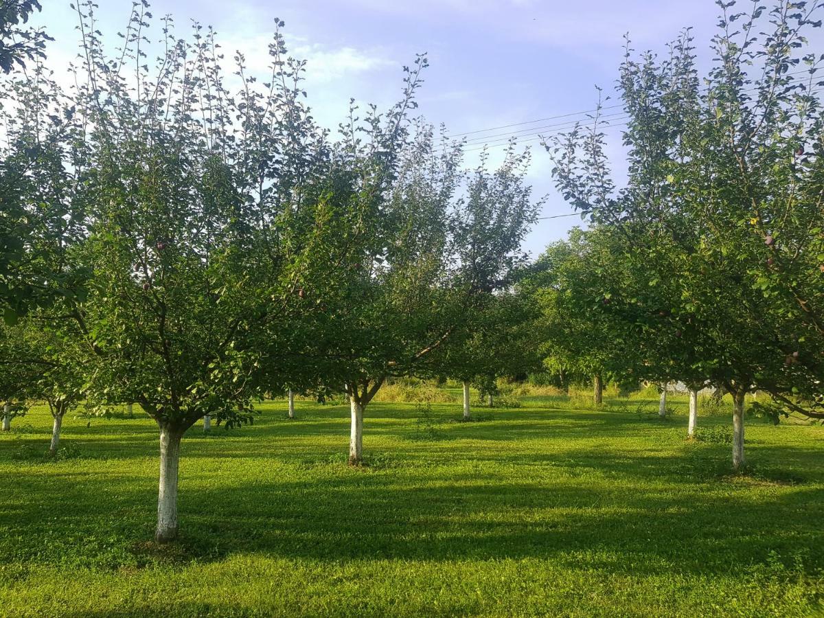Green Apartments Kursumlija المظهر الخارجي الصورة