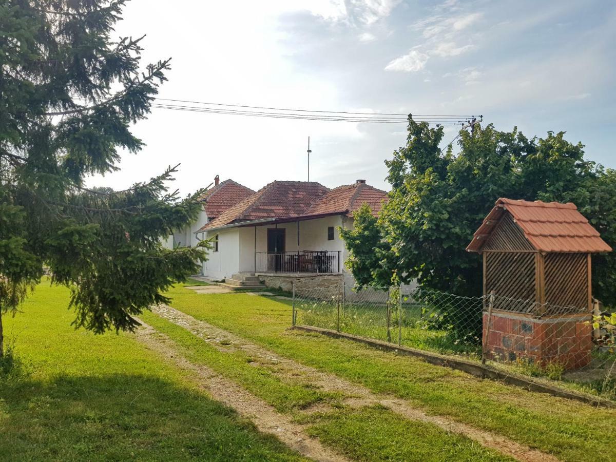 Green Apartments Kursumlija المظهر الخارجي الصورة